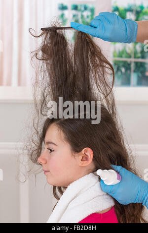 Mother combing daughter Stock Photo