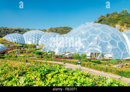 Dome of the Eden Project Stock Photo