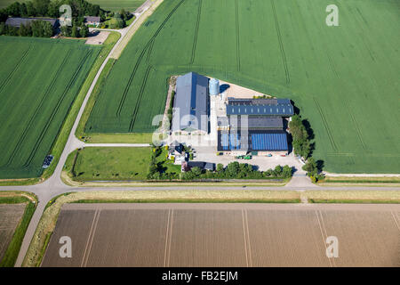 Netherlands, Lelystad, Farm, farmland, solar panels on rood, aerial. Flevopolder. Stock Photo