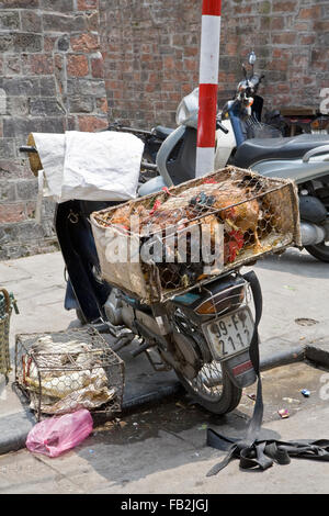 Motorbikes Are The Main Means Of Transport In Vietnam Stock Photo - Alamy