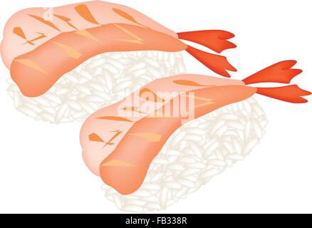 Japanese Cuisine, Illustration of Fresh Ebi Tempura Nigiri or Shrimps Sushi Isolated on White Background. Stock Vector