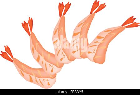 Japanese Cuisine, Illustration of Fresh Ebi Sashimi or Shrimp Sashimi Isolated on White Background. Stock Vector