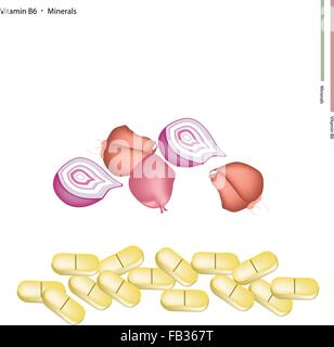 Healthcare Concept, Illustration of Fresh Shallots, Spanish Onions, or Red Onions with Vitamin B6 and Minerals Tablet, Essential Stock Vector