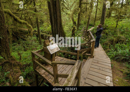 Boardwalk through rain forest, Pacific Rim National Park, BC, West Canada Stock Photo