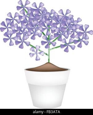 Beautiful Flower, Illustration Bunch of Beautiful Violet Geranium Flowers or Pelargonium Graveolens Flowers in A Pot Isolated on Stock Vector