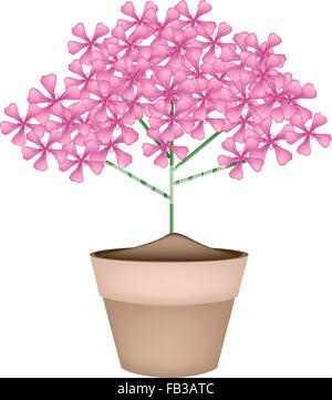 Beautiful Flower, Illustration Bunch of Beautiful Pink Geranium Flowers or Pelargonium Graveolens Flowers in A Pot Isolated on W Stock Vector