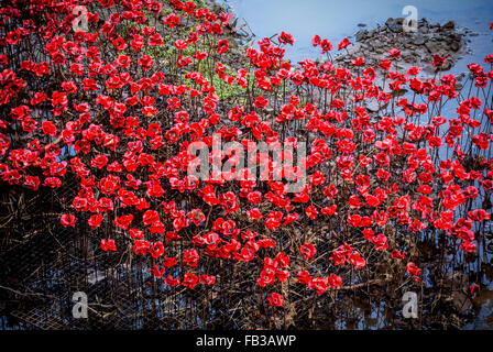 Yorkshire Sculpture Park, UK.  8th January, 2016. This is the last weekend when visitors to YSP can view Wave, by artist Paul Cummins, a sweeping arch of bright red poppy heads suspended on towering stalks. First displayed at the Tower of London in 2015. Exhibition ends on Sunday the 10th of January.  Photo Bailey-Cooper Photography/Alamy Live News Stock Photo