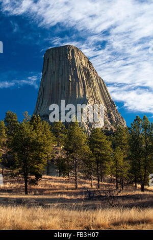 Devil's Tower rises above a grassy meadow in Devil's Tower National Monument, Wyoming. Stock Photo