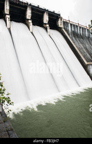 Travelling in Neyyar Dam Stock Photo