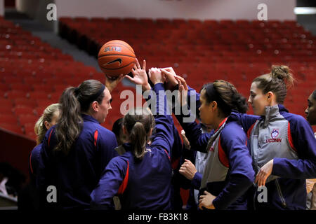 Houston, TX, USA. 08th Jan, 2016. The Connecticut Huskies huddle together prior to the NCAA women's basketball game between Houston and Connecticut from Hofheinz Pavilion in Houston, TX. Credit image: Erik Williams/Cal Sport Media/Alamy Live News Stock Photo