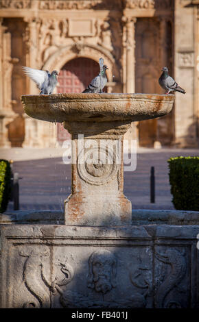 Renaissance fountain in Plaza de Vázquez Molina, in background Sacra capilla del Salvador,Church of the Salvador (16th century), Stock Photo
