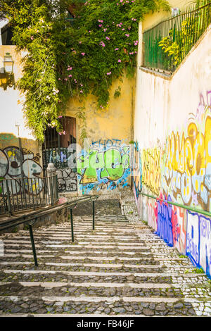 overgrown staircase with graffiti, alfama district, lisbon, portuga Stock Photo