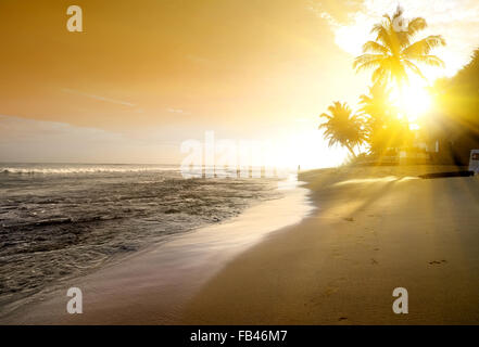 Orange sky over ocean and sandy beach Stock Photo