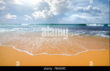 Waves of the ocean on a sandy coast Stock Photo
