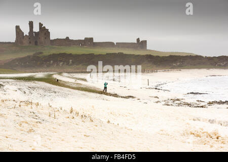 A woman bracing the storm surrounded by foam wipped up by storm waves blowing ashore at Craster on the Northumberland coast with Dunstanburgh Castle in the background. Taken on Monday 4th January 2016 Stock Photo