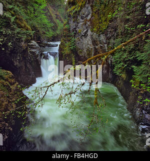 Waterfall in Englishman River Falls, Vancouver Island, British Columbia, Canada Stock Photo