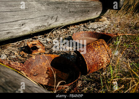 Rusty Can, Old Wooden Cabin, First Ranger Cabin, Yoho Nationalpark, British Columbia, Canada Stock Photo
