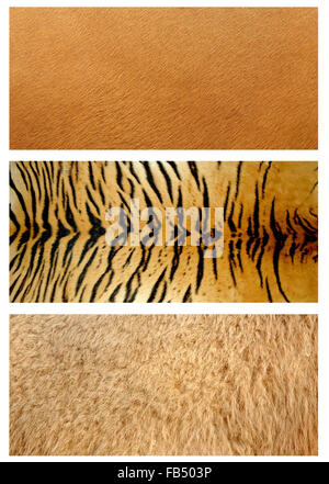 animals skin Stock Photo