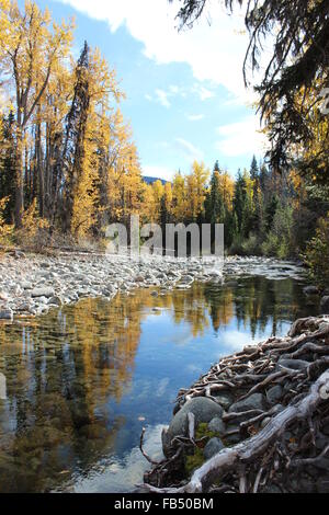 Stunning Fall Day in British Columbia Stock Photo