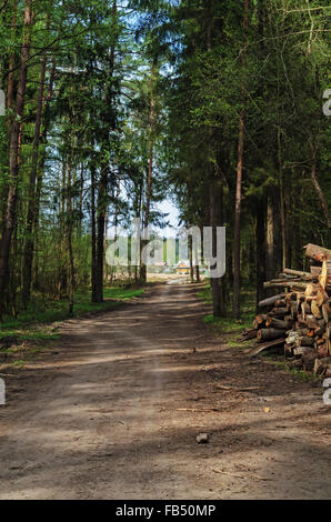 Sand road through spring forest near village.On a roadside a stack of the cut-down trees. Stock Photo
