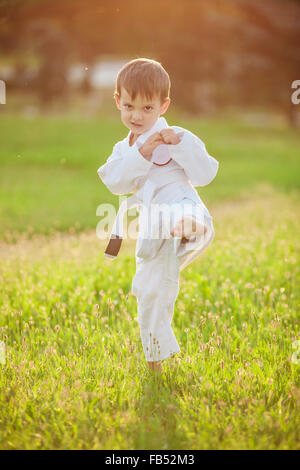 Preschool boy practicing karate outdoors Stock Photo