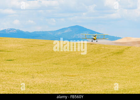 Crop duster spraying herbicide on fields of garbanzo beans in the Palouse region of Eastern Washington Stock Photo