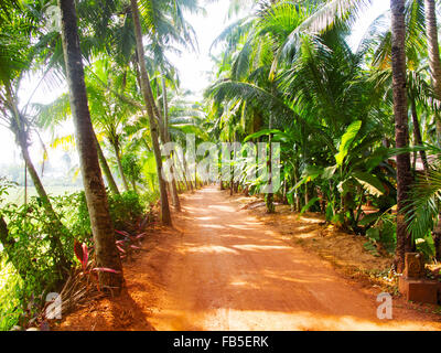 The road to India through the palm trees in the sea Stock Photo