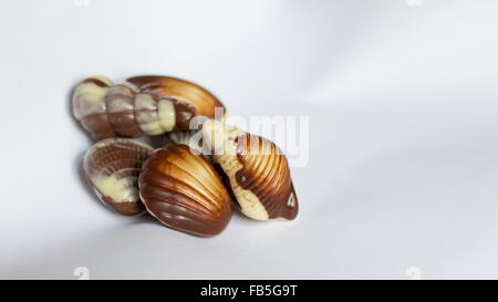 Various assortment of chocolate shells on a white background. Stock Photo