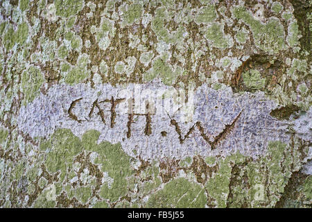 Graffiti on a tree trunk Stock Photo