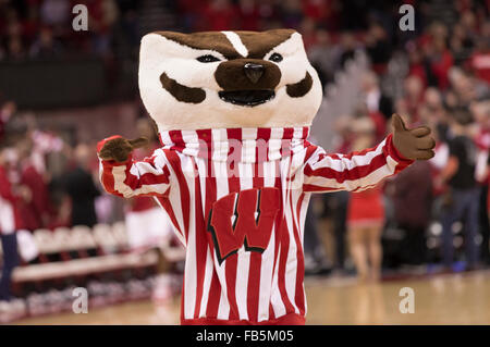 Madison, WI, USA. 9th Jan, 2016. Bucky Badger entertains the crowd during the NCAA Basketball game between the Maryland Terrapins and the Wisconsin Badgers at the Kohl Center in Madison, WI. Maryland defeated Wisconsin 63-60. John Fisher/CSM/Alamy Live News Stock Photo