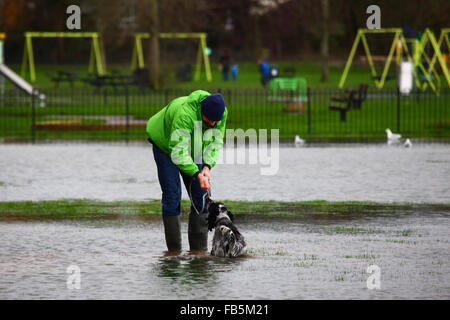 Tonbridge, Kent, England 10th January 2016: A man plays with his dog in floodwater on a playing field in Tonbridge. Recent heavy rain has left the playing fields partially flooded and the ground saturated, and the River Medway (which flows through the town) is currently bank full. Credit:  James Brunker / Alamy Live News Stock Photo