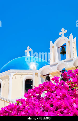 An image of one of the churches in the santorini capital town of fira with vivid pink flowers in the foreground. Stock Photo