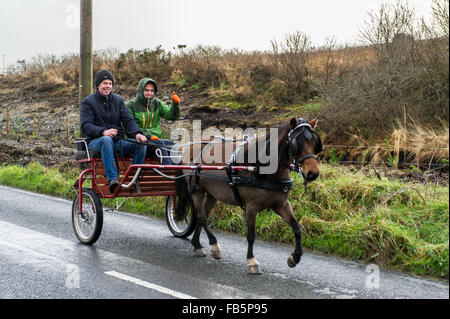 Drimoleague, Ireland. 10th January, 2016. Andy Collins, and his son John, are pictured driving Vinny O'Driscolls Kerry Bog Pony during the Drimoleague to Drinagh Cheval. The Cheval was held to raise funds for COPE Foundation. Credit: Andy Gibson/Alamy Live News Stock Photo