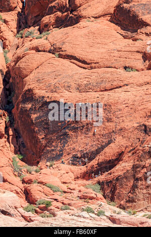 Climbers scale the red rock of Calico 1 area in the Calico Hills of Red Rock Canyon National Conservation Area Stock Photo