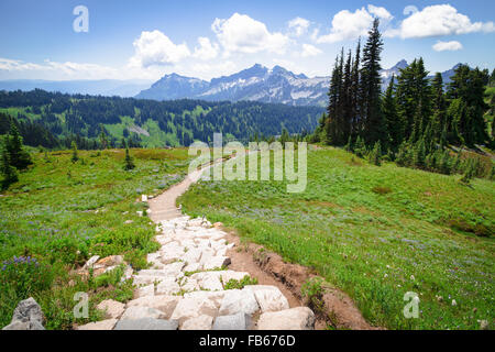Mt. Rainier National Park, USA.  The trail descends through the alpine meadow with a view of the Cascades. Stock Photo