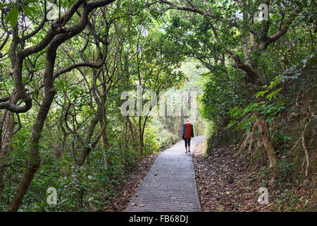 Trekking on Section 2 of the MacLehose Trail, Sai Kung, Hong Kong Stock Photo