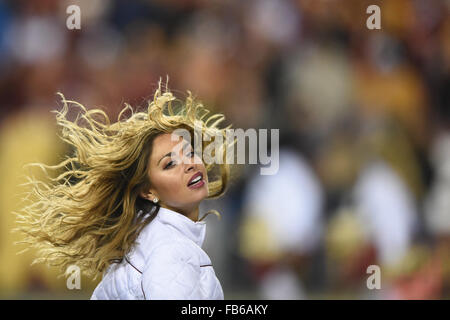 Landover, MD, USA. 10th Jan, 2016. A Redskins cheerleader performs during the NFC Wildcard matchup between the Green Bay Packers and the Washington Redskins at FedEx Field in Landover, MD. John Middlebrook/CSM/Alamy Live News Stock Photo