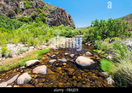 Rondegat River flowing through the Cedarberg Wilderness Area, Western Cape, South Africa Stock Photo