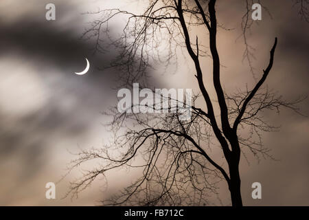 A partial eclipse of the sun seen from Northumberland on March 20th 2015, England Stock Photo