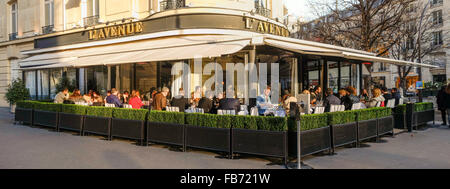 L'Avenue Paris, L'Avenue Restaurant terrace in afternoon at avenue Montaigne, Paris, France. Stock Photo