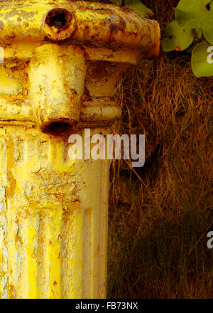 A yellow drinking fountain in Roberts Cove, County Cork, Ireland. Stock Photo