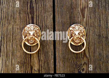 Door knocker in the form of a lion's head Stock Photo