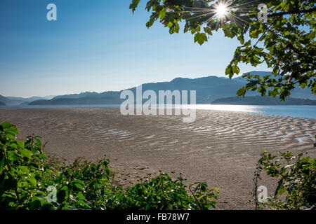 Sunlight coming through the branches of a tree along The Estuary at low tide on road into barmouth gwynedd Wales UK Stock Photo