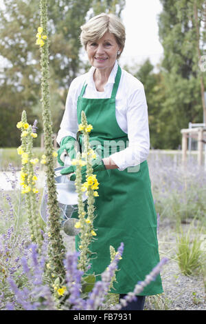 Mature woman watering plant in garden, portrait Stock Photo