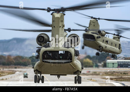 Two CH-47F Chinook helicopters take off. Boeing CH-47 Chinooks, American twin-engine, tandem rotor heavy-lift helicopters. Stock Photo