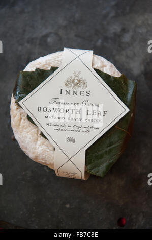 Bosworth Leaf is an unpasteurised, vegetarian, semi-soft cheese made from goat's milk. A mold ripened cheese. Innes Stock Photo