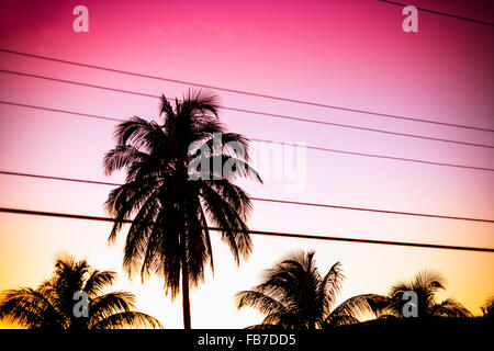 Silhouette palm trees and power lines against sky during sunset Stock Photo