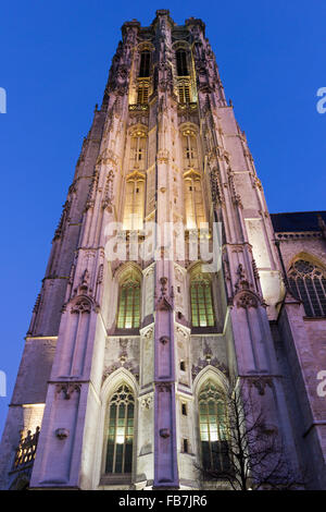 Saint Rumbold's Cathedral in Mechelen in Belgium in the morning Stock Photo