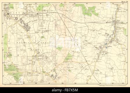 BROMLEY & ORPINGTON:Hayes,Petts Wood,Keston,St Paul's Mary Cray.BACON, 1902 map Stock Photo