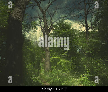 Abstract Magic Environment Magic Forest. Abstract environmental backgrounds for your design Stock ...